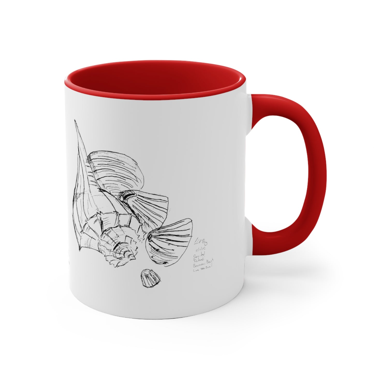 "Sea Snail and Shells" - 11oz Accent Mug - Line Art
